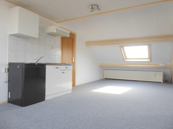 Dorpsstraat 239-1, Scherpenzeel