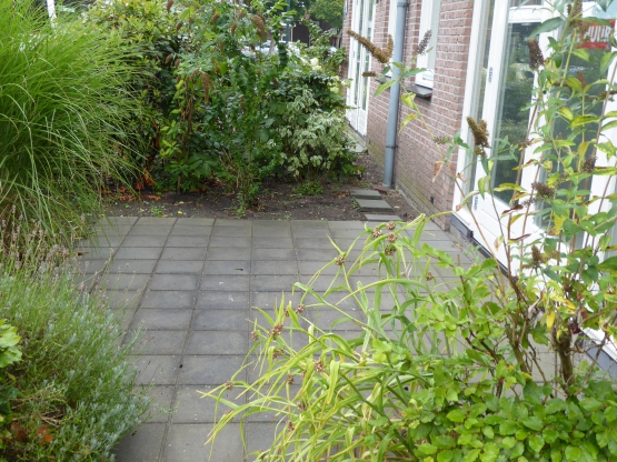 Dorpsstraat 268-A, Scherpenzeel