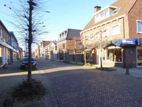 Dorpsstraat 229, Scherpenzeel